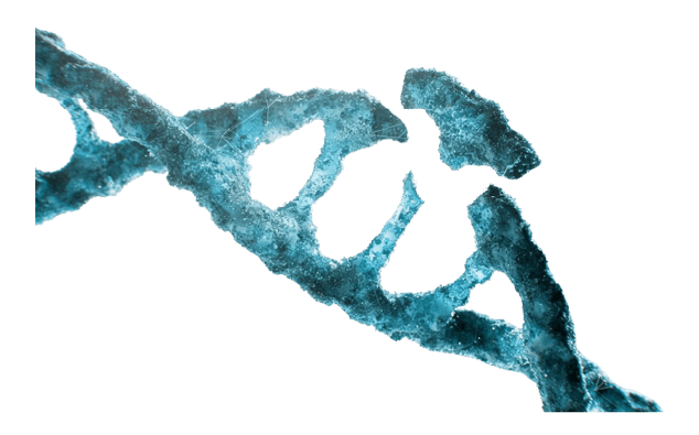 Fundamental Research