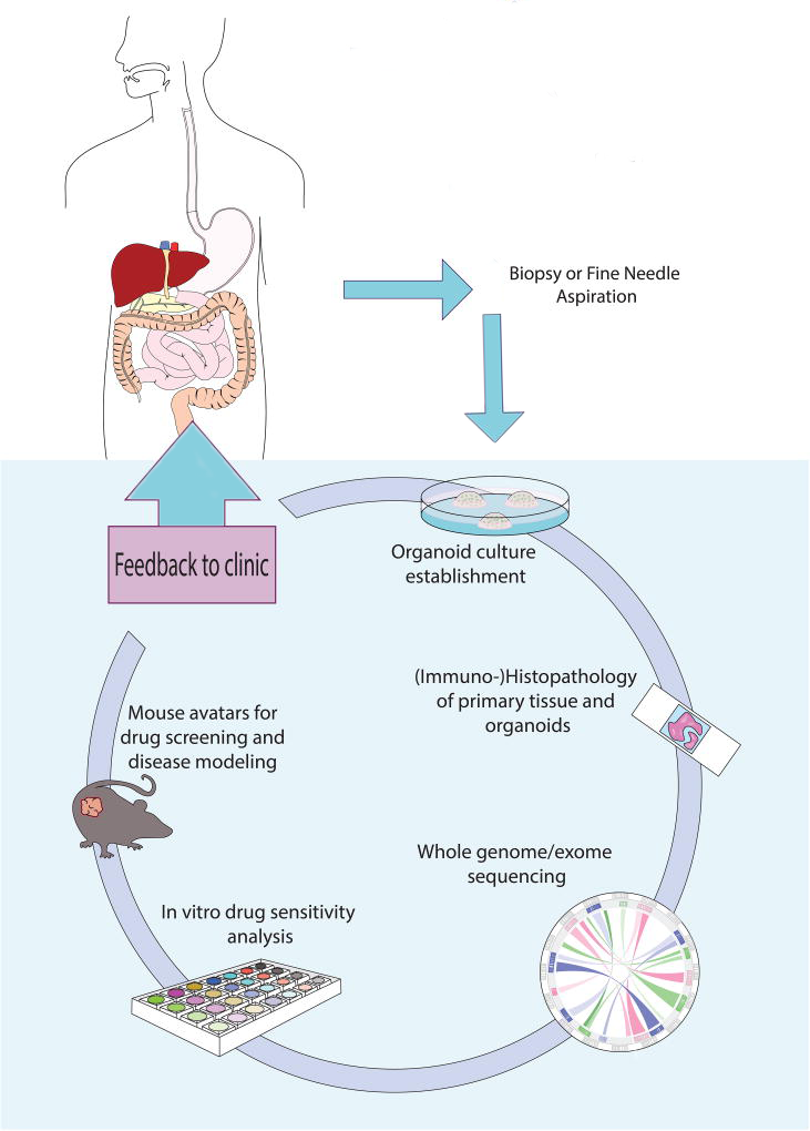 Personalized Medicine