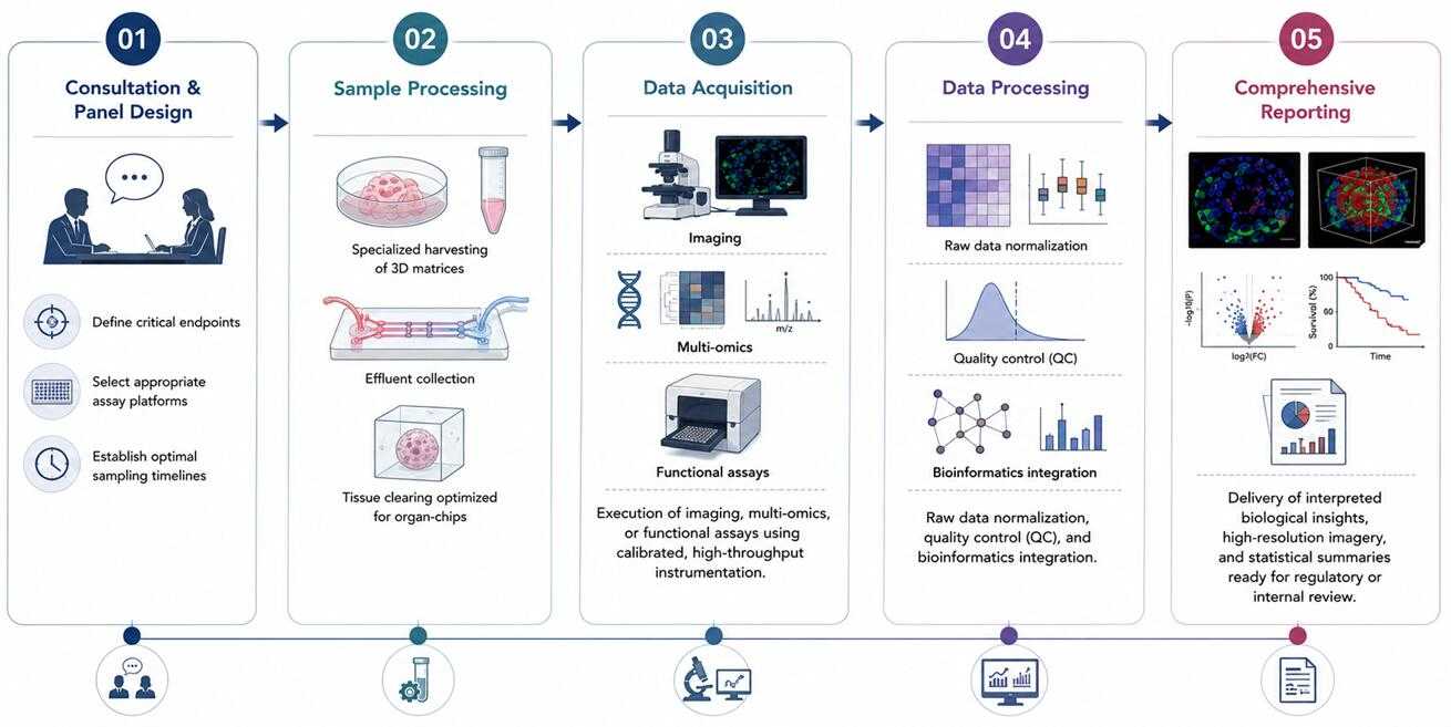 Analytical Readout Workflow