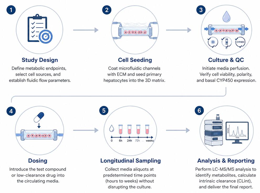 Service Workflow