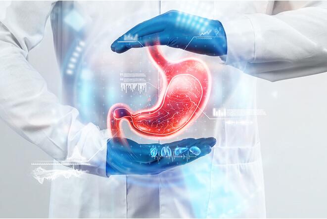 human gastric organoids