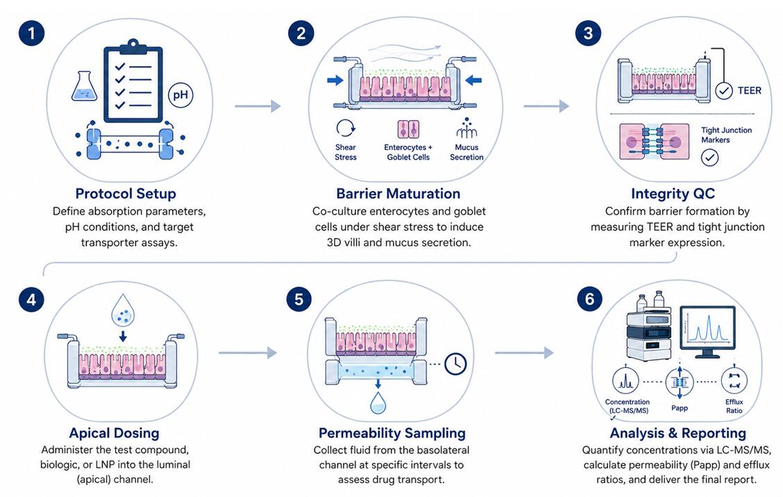 Service Workflow
