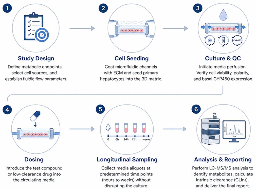 Service Workflow