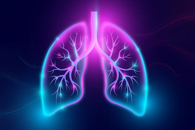 human lung organoids