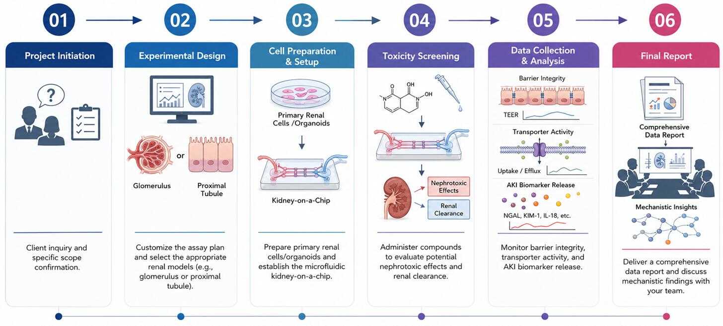 Nephrotoxicity Service Workflow